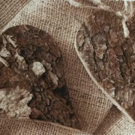 Διαμέρισμα Casa 2